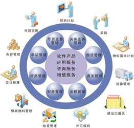 netsuite 可以解决别人不能解决的问题