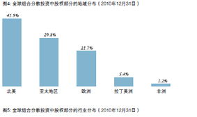 中投公司2010年年度报告